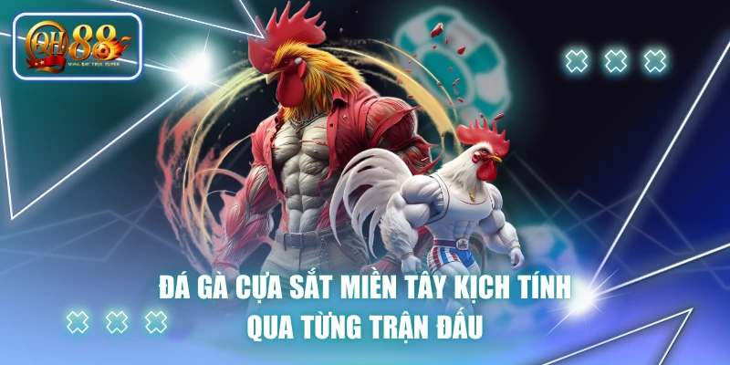 Đá Gà Cựa Sắt Miền Tây Kịch Tính Qua Từng Trận Đấu