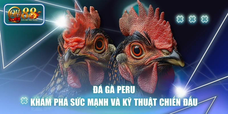 Đá Gà Peru - Khám Phá Sức Mạnh Và Kỹ Thuật Chiến Đấu
