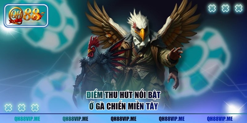 Điểm thu hút nổi bật ở gà chiến miền Tây