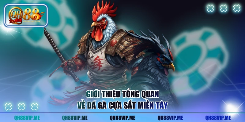 Giới thiệu tổng quan về đá gà cựa sắt miền Tây