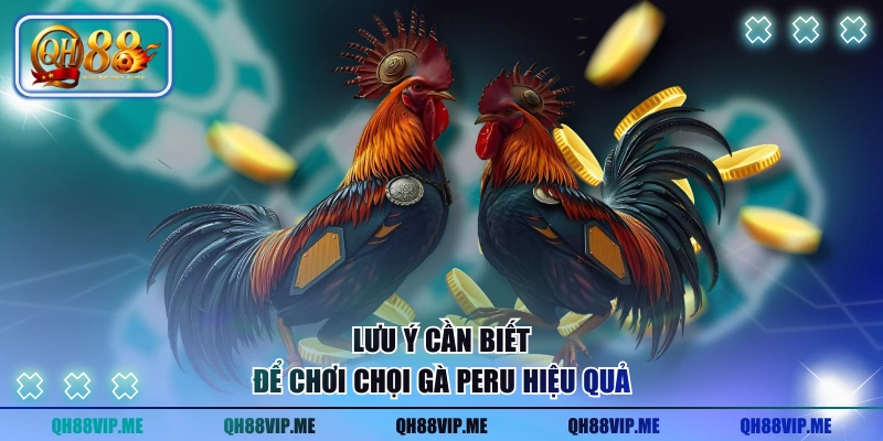 Lưu ý cần biết để chơi chọi gà Peru hiệu quả
