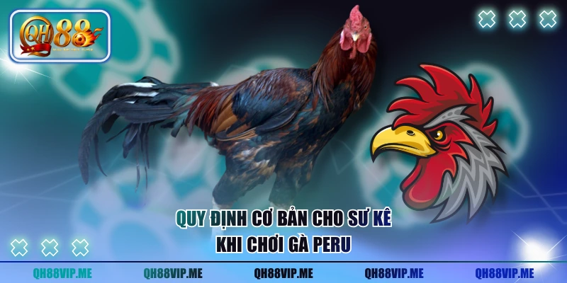 Quy định cơ bản cho sư kê khi chơi gà Peru