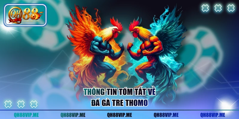 Thông tin tóm tắt về đá gà tre Thomo