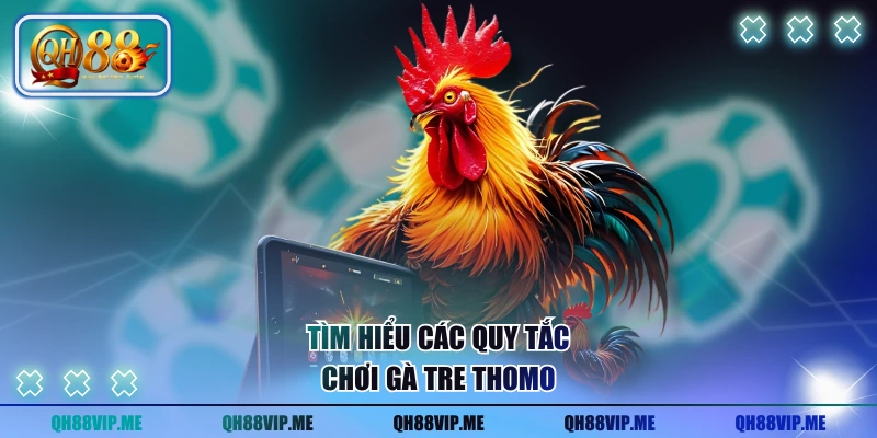 Tìm hiểu các quy tắc chơi gà tre Thomo