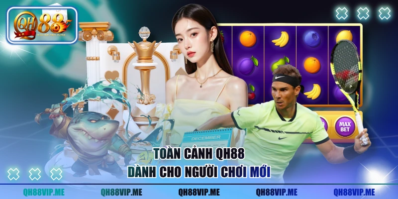 Toàn cảnh QH88 dành cho người chơi mới